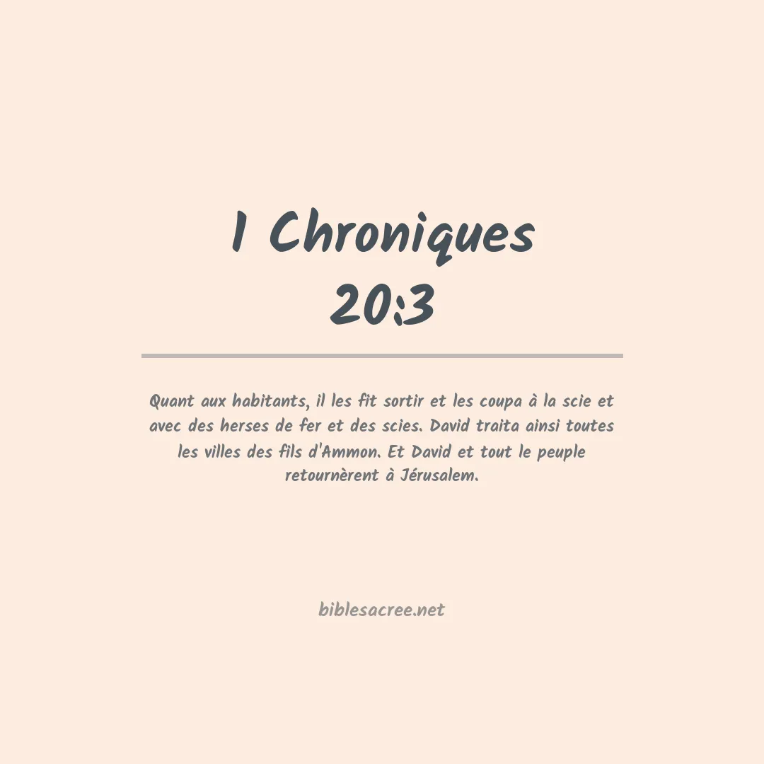 1 Chroniques - 20:3