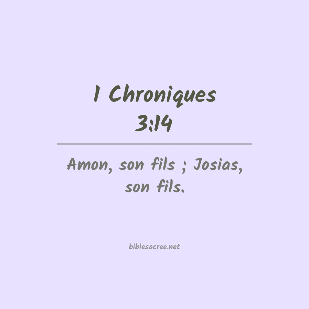 1 Chroniques - 3:14