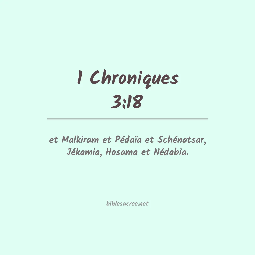 1 Chroniques - 3:18