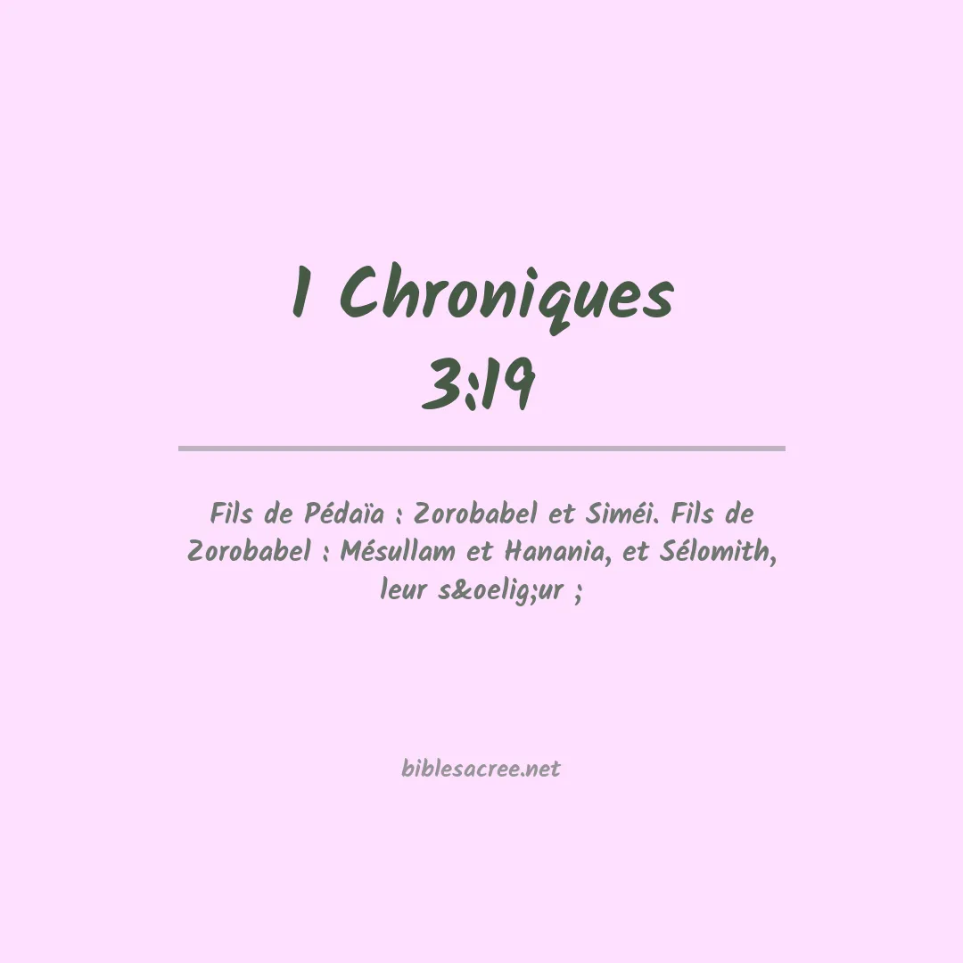 1 Chroniques - 3:19