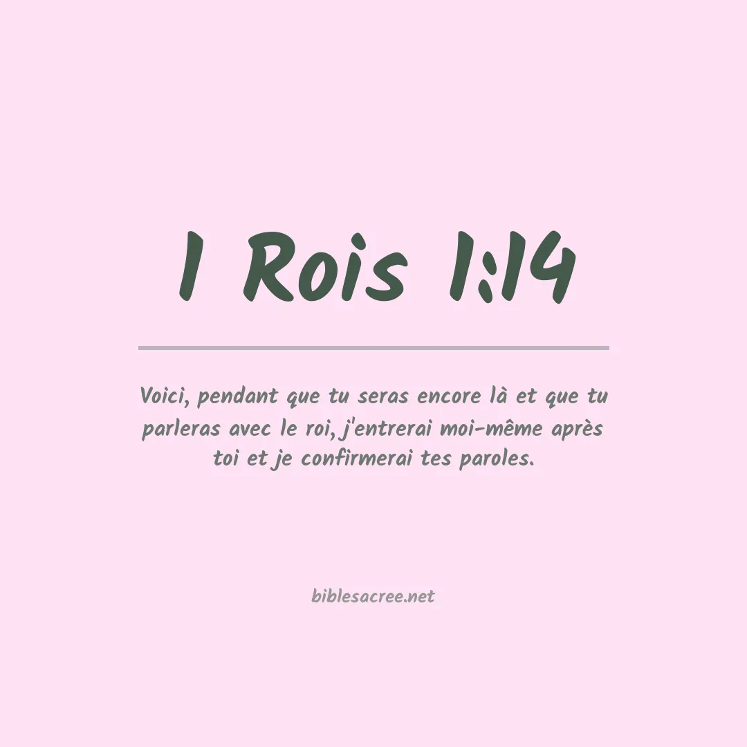 1 Rois - 1:14