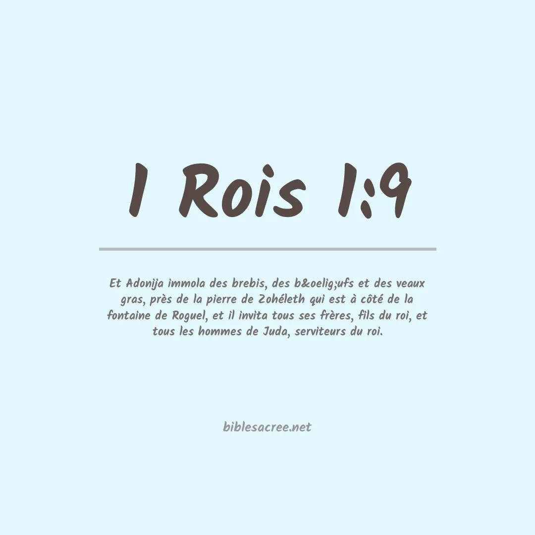 1 Rois - 1:9