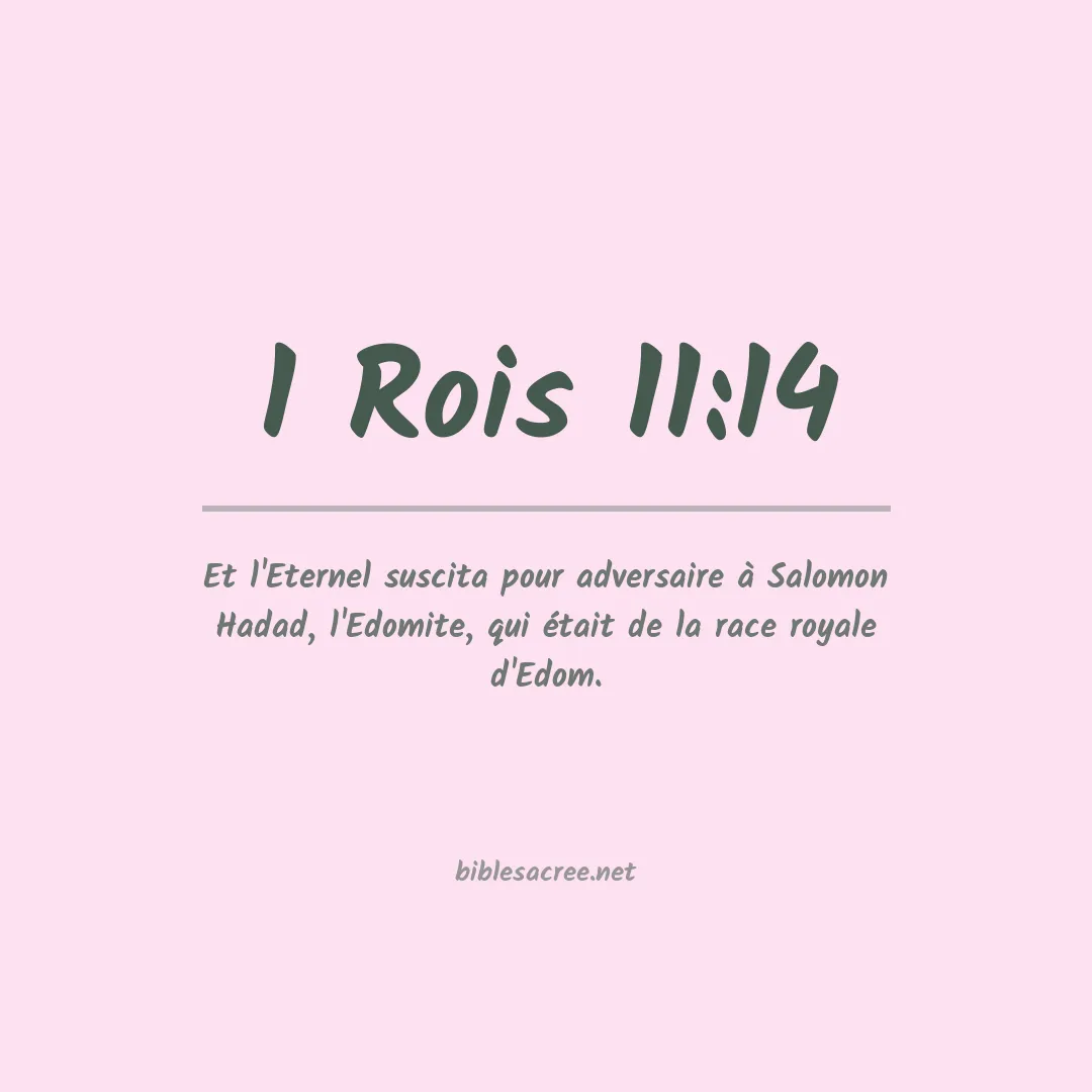 1 Rois - 11:14