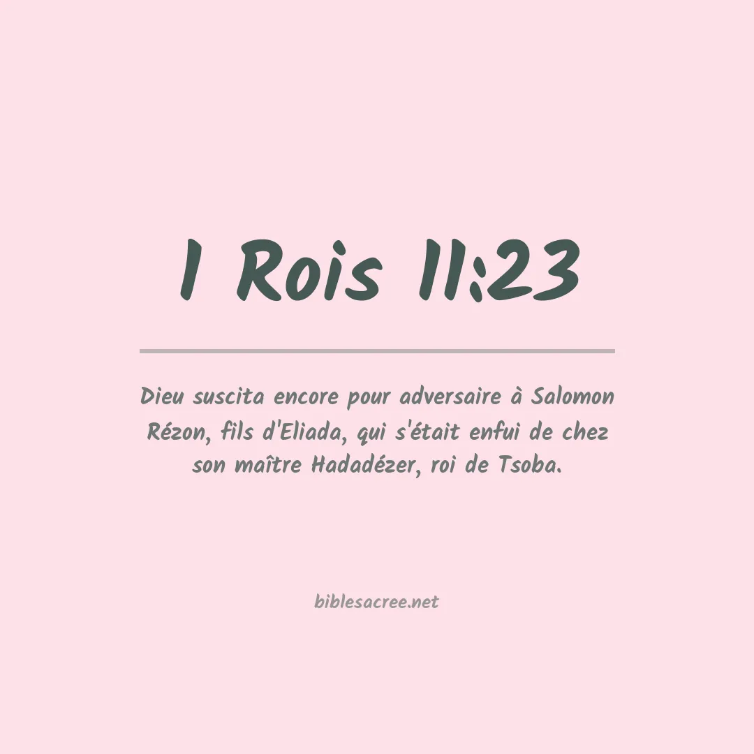1 Rois - 11:23
