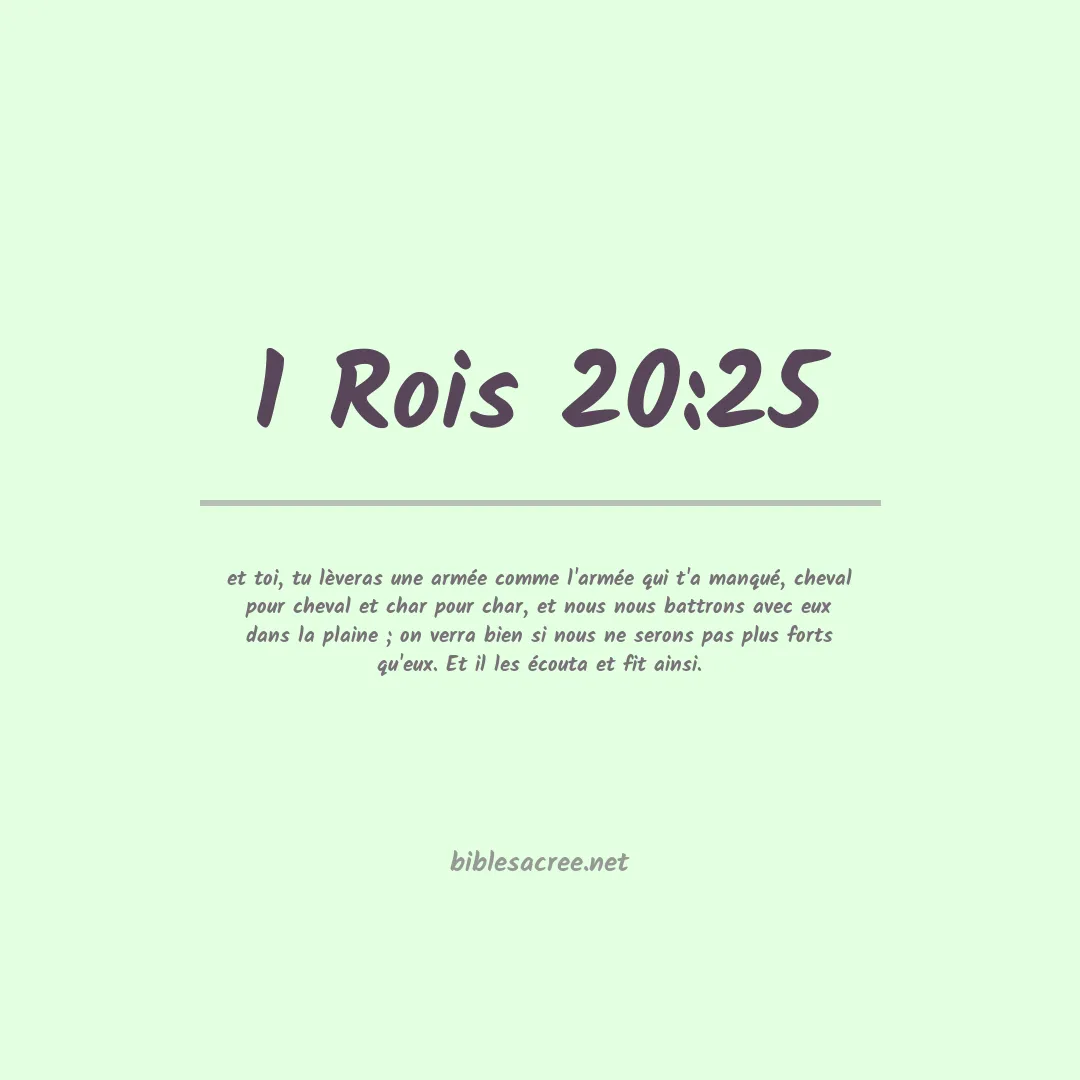 1 Rois - 20:25