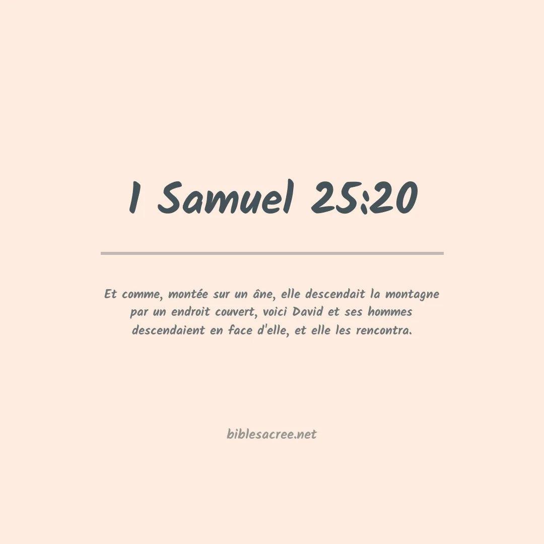 1 Samuel - 25:20