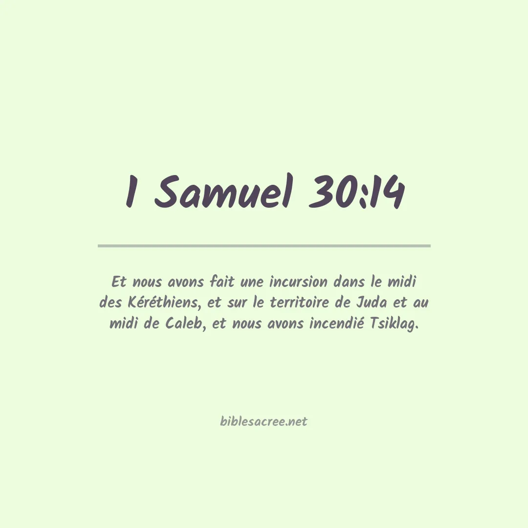 1 Samuel - 30:14