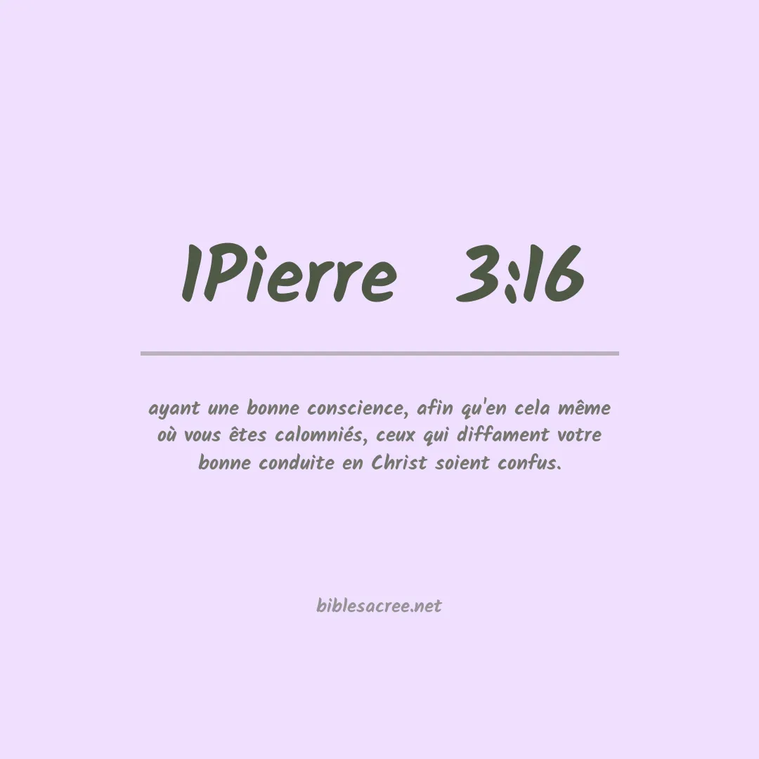 1Pierre  - 3:16