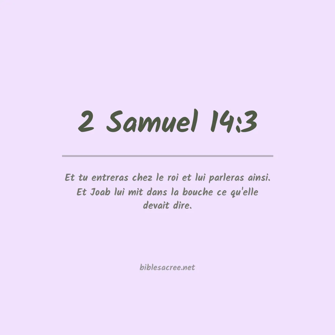 2 Samuel - 14:3