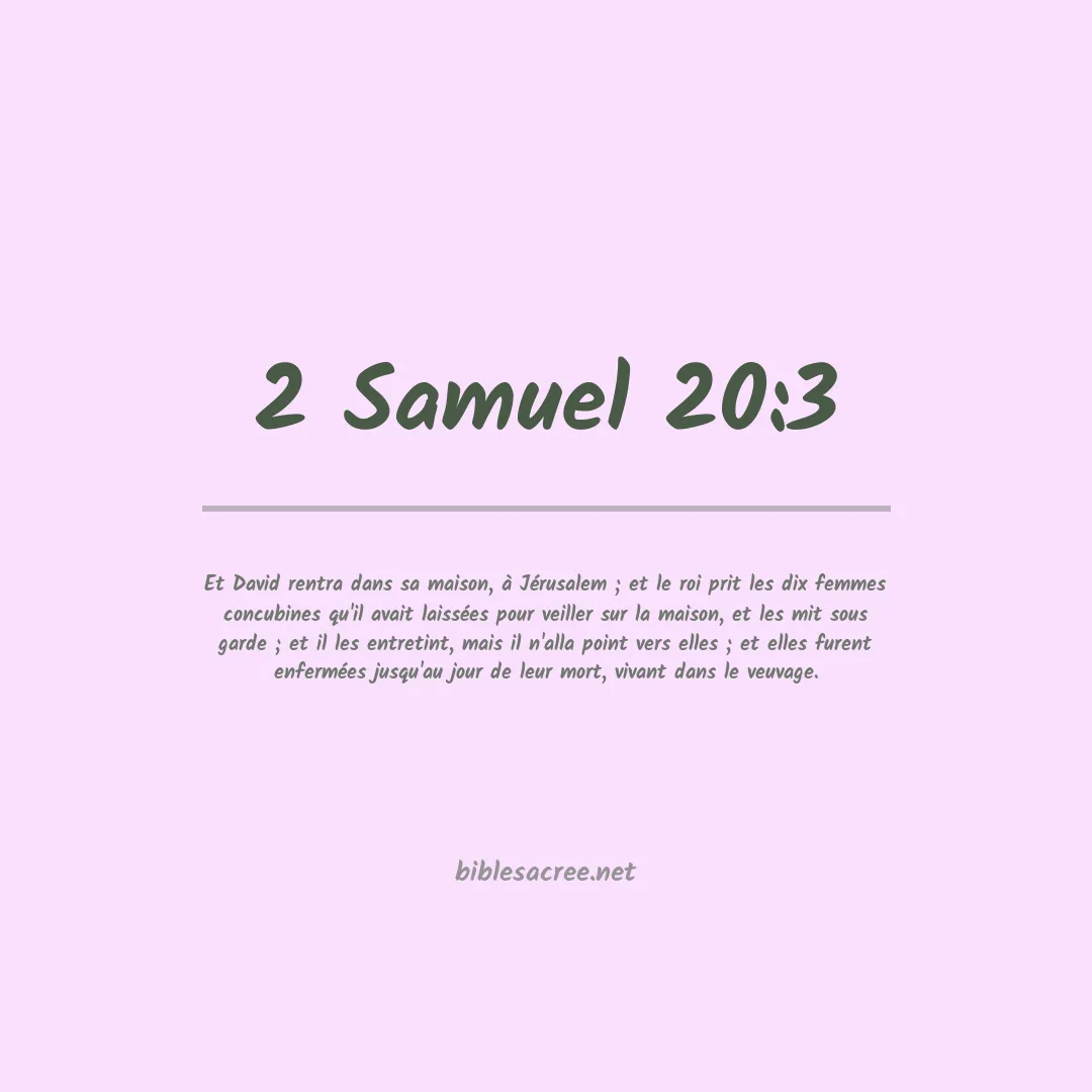 2 Samuel - 20:3
