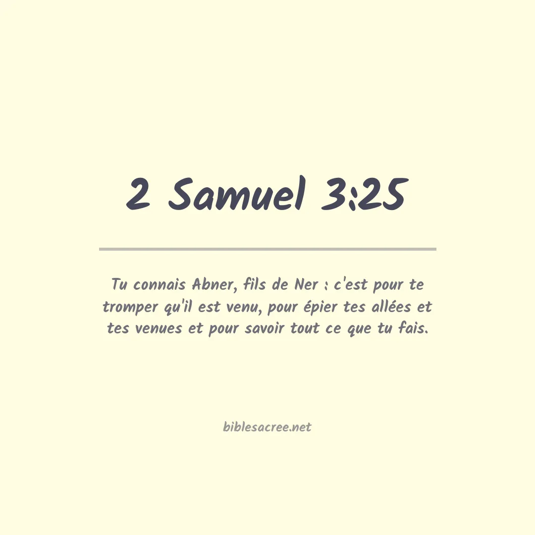 2 Samuel - 3:25