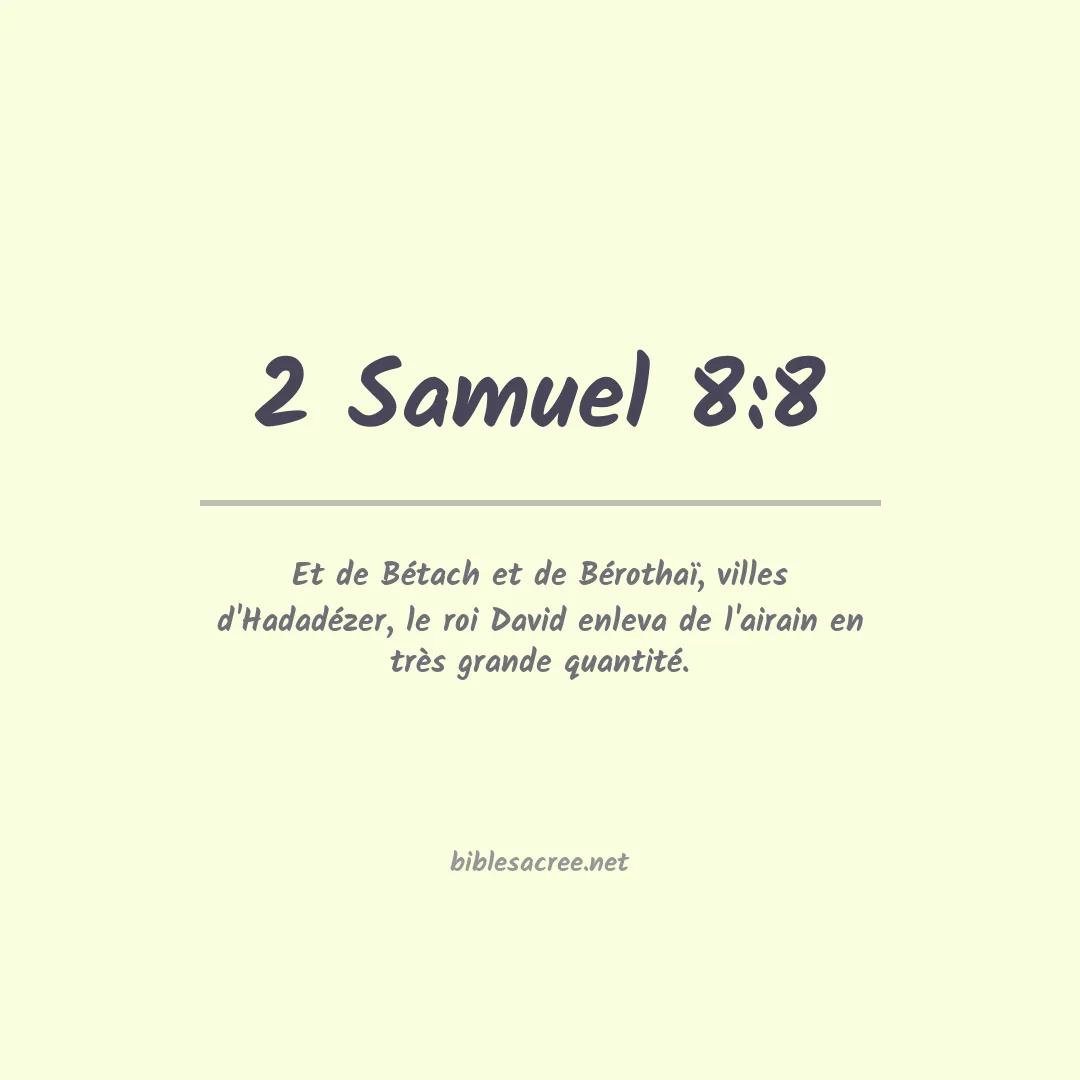2 Samuel - 8:8