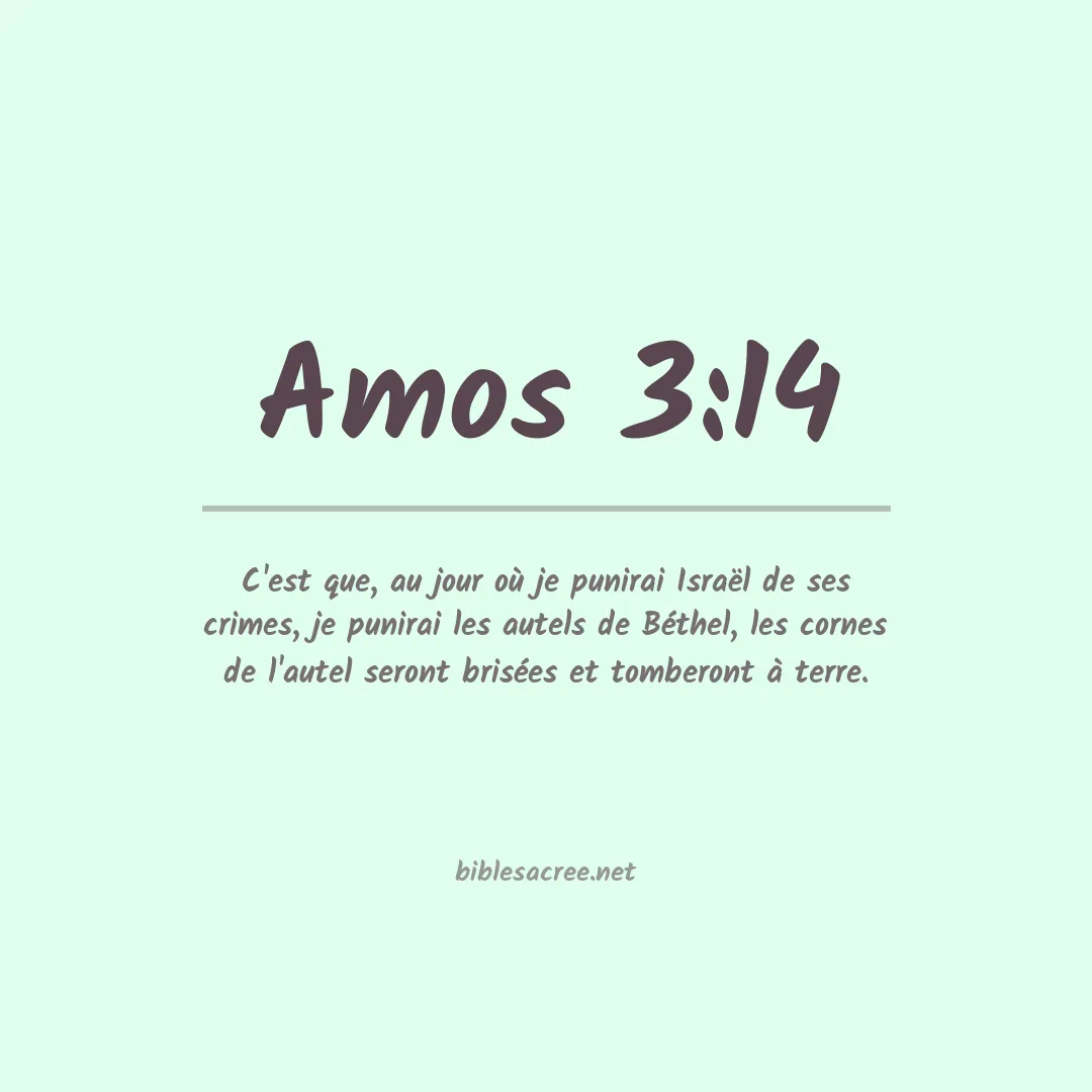 Amos - 3:14