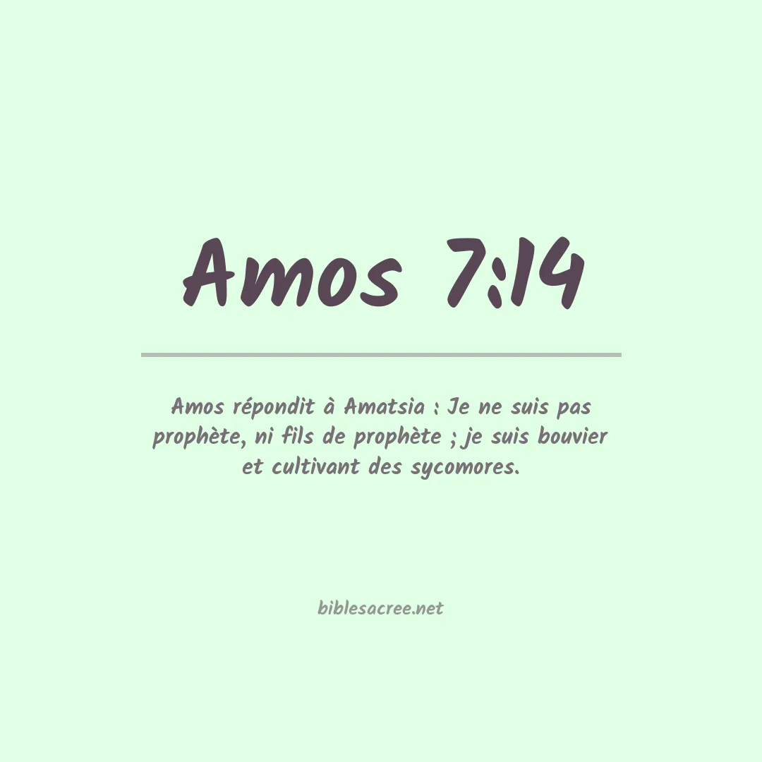 Amos - 7:14