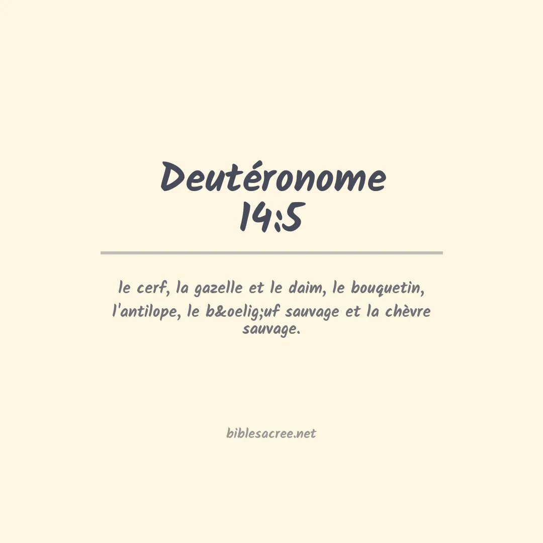 Deutéronome - 14:5