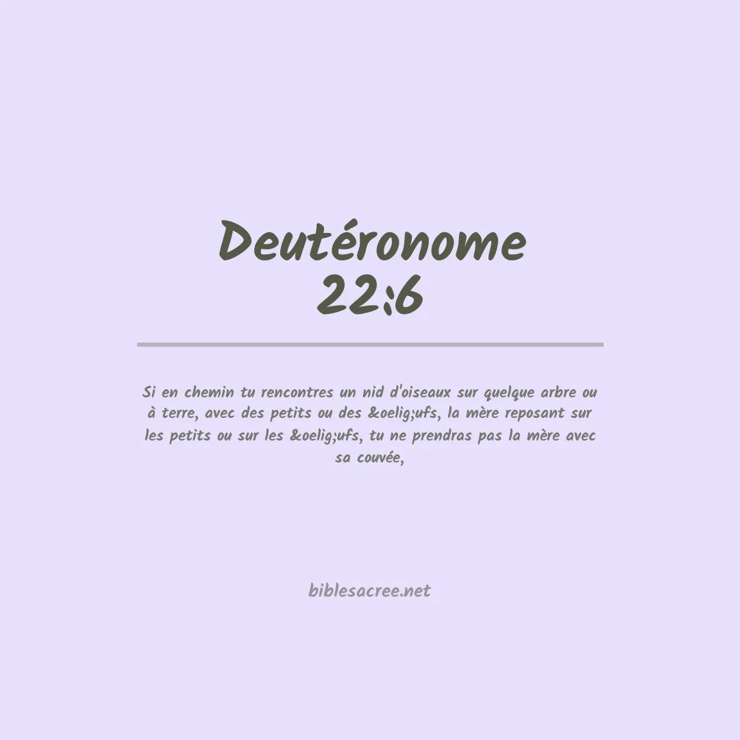 Deutéronome - 22:6