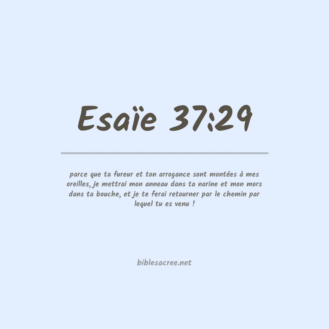 Esaïe - 37:29