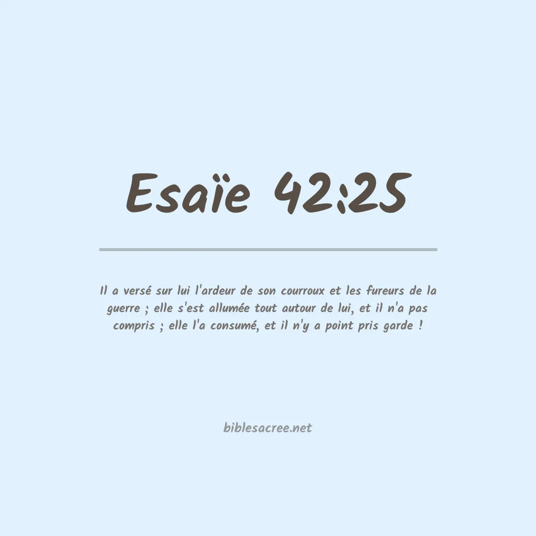 Esaïe - 42:25