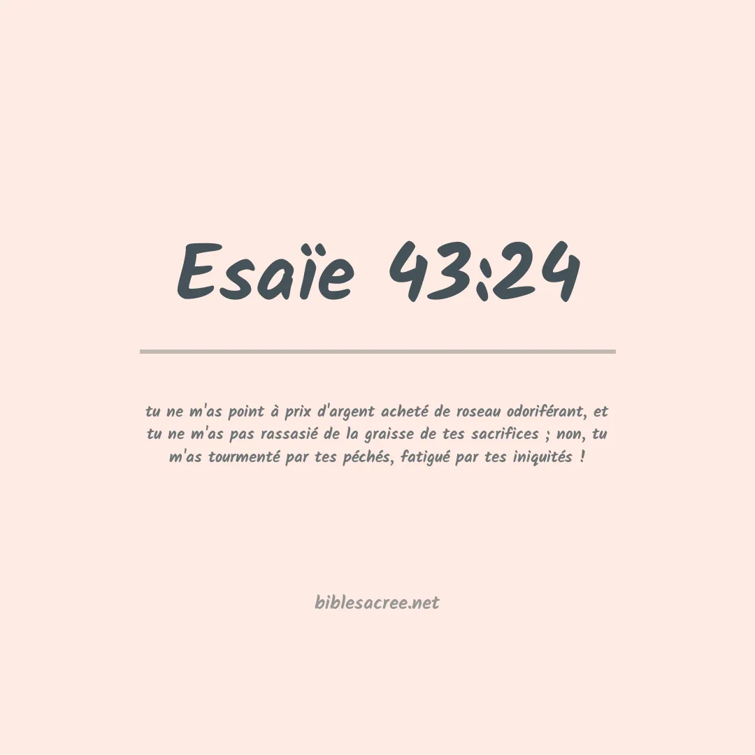 Esaïe - 43:24