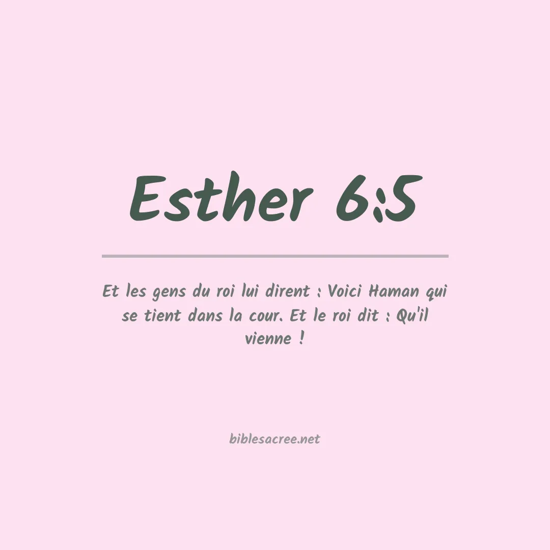 Esther - 6:5