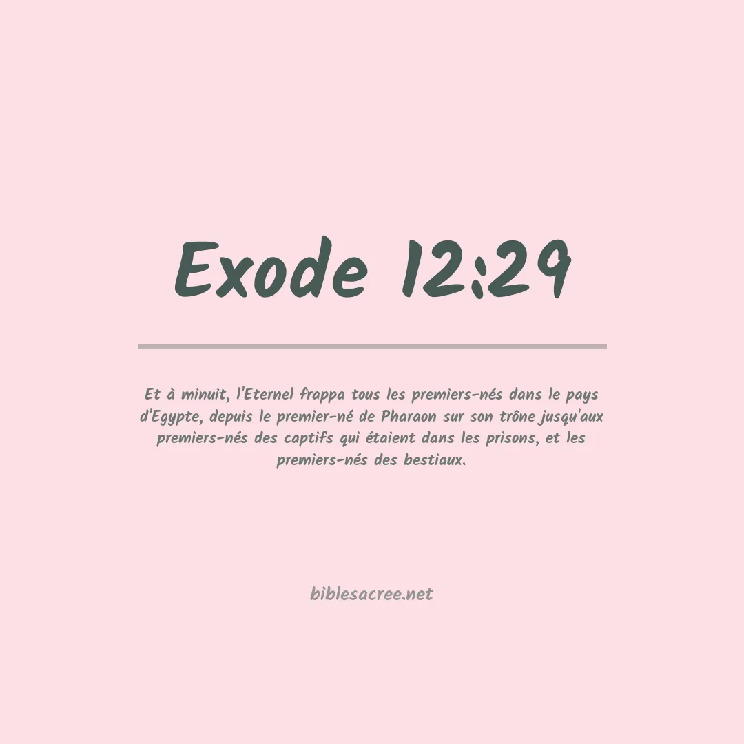 Exode - 12:29