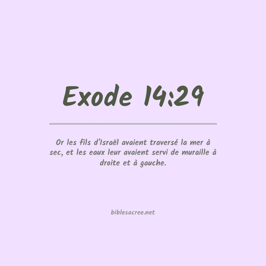 Exode - 14:29