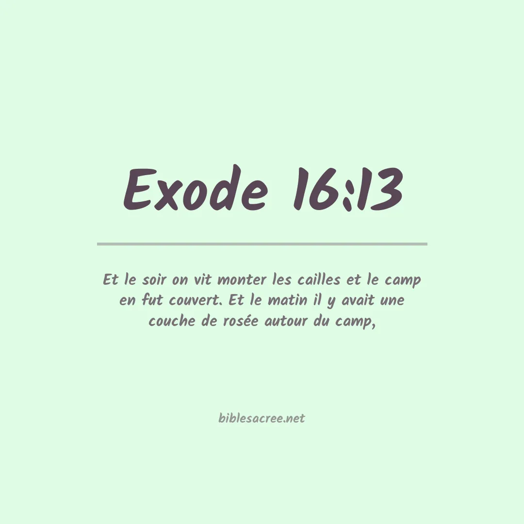 Exode - 16:13