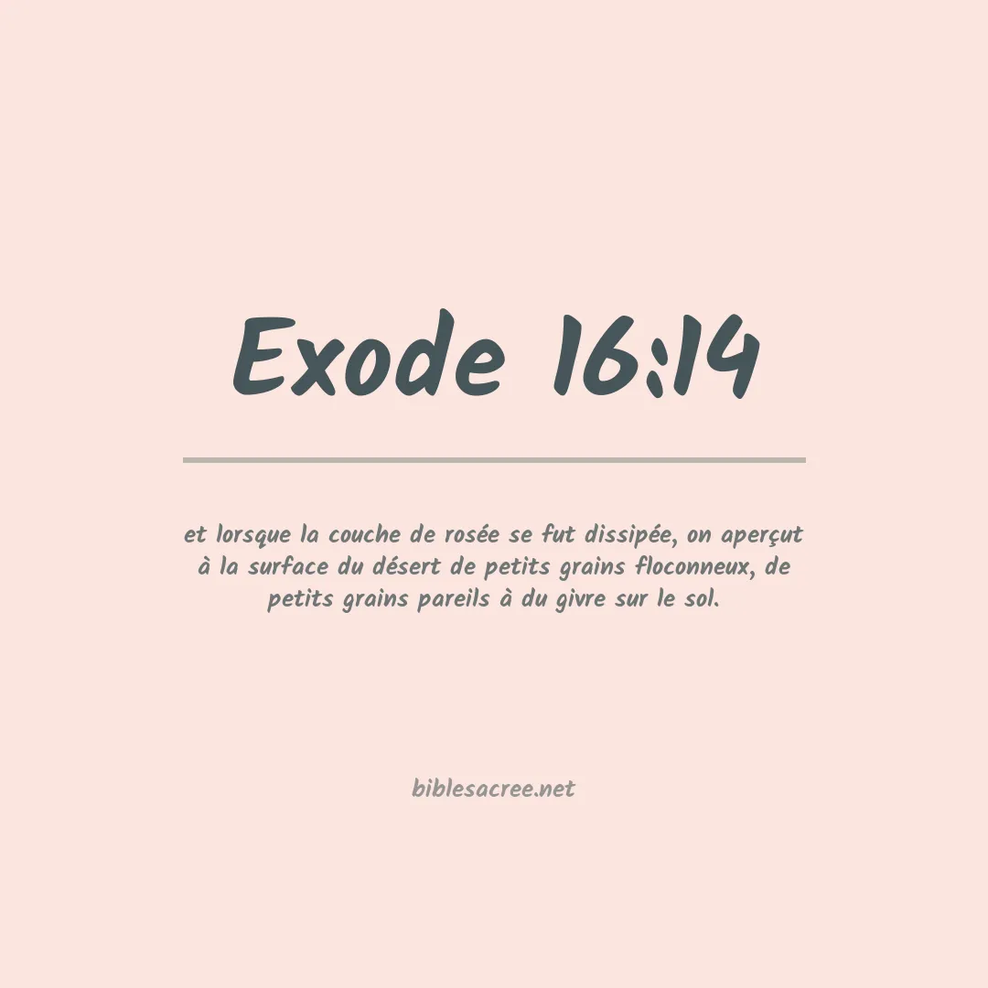 Exode - 16:14