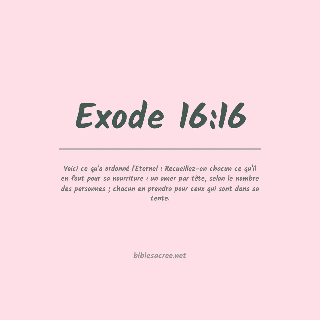 Exode - 16:16