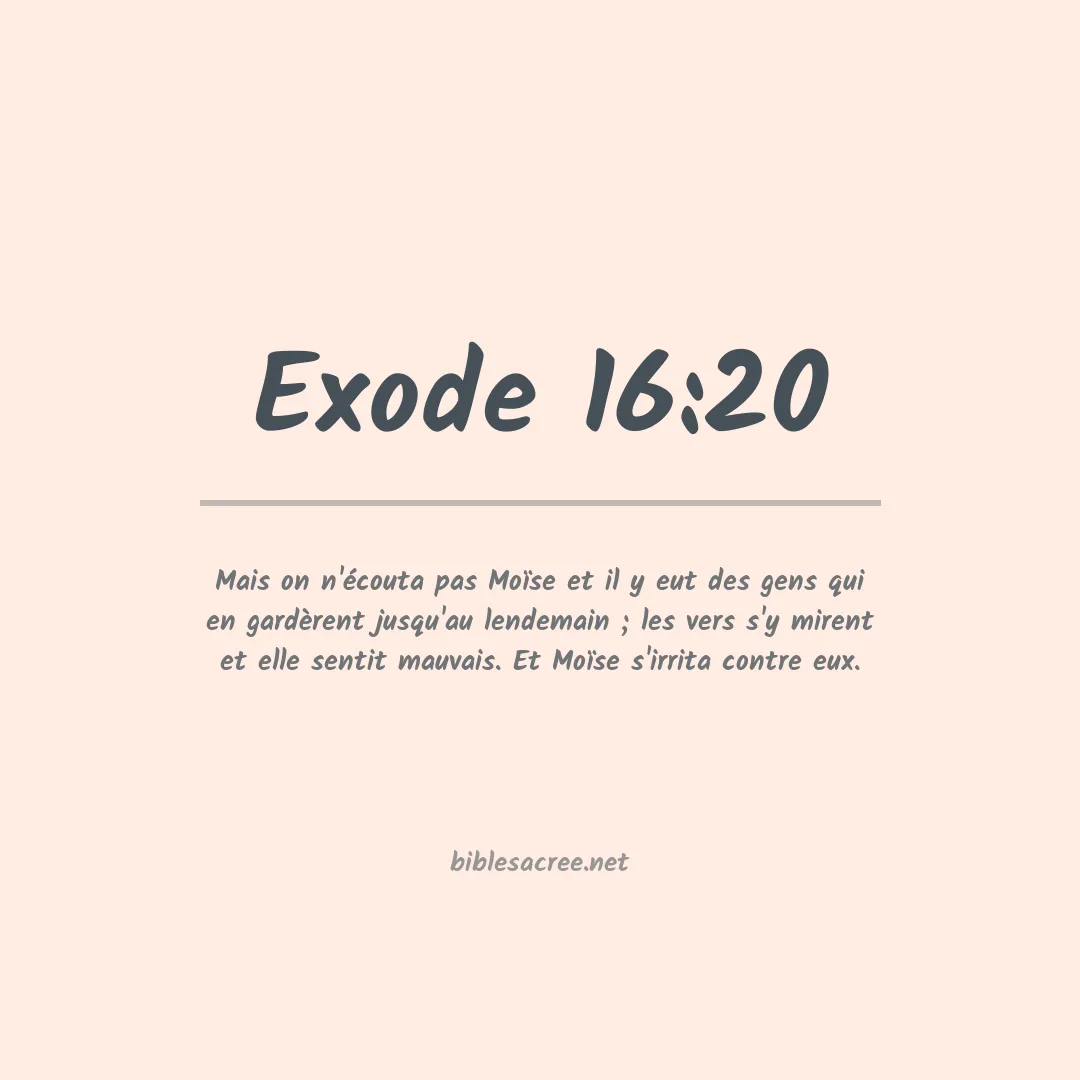 Exode - 16:20