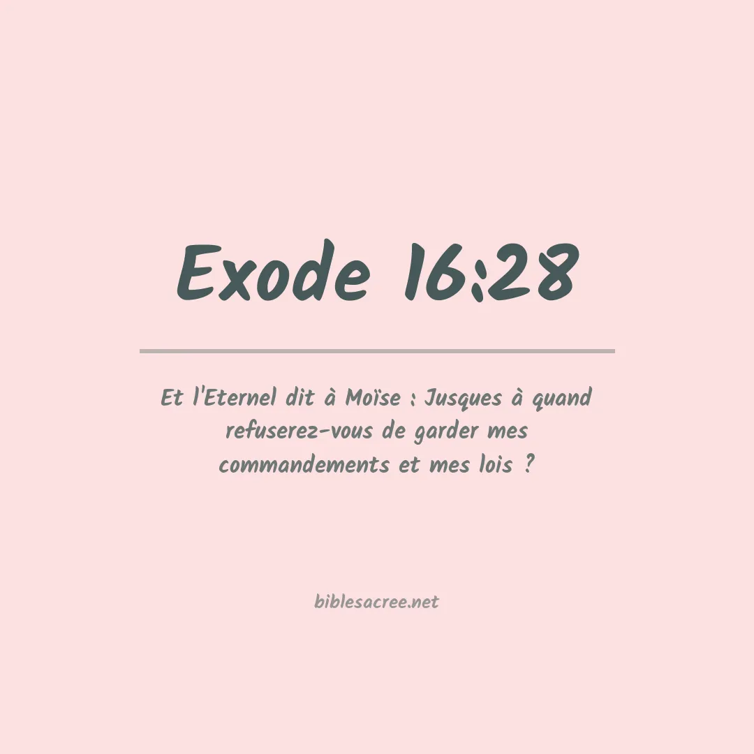 Exode - 16:28