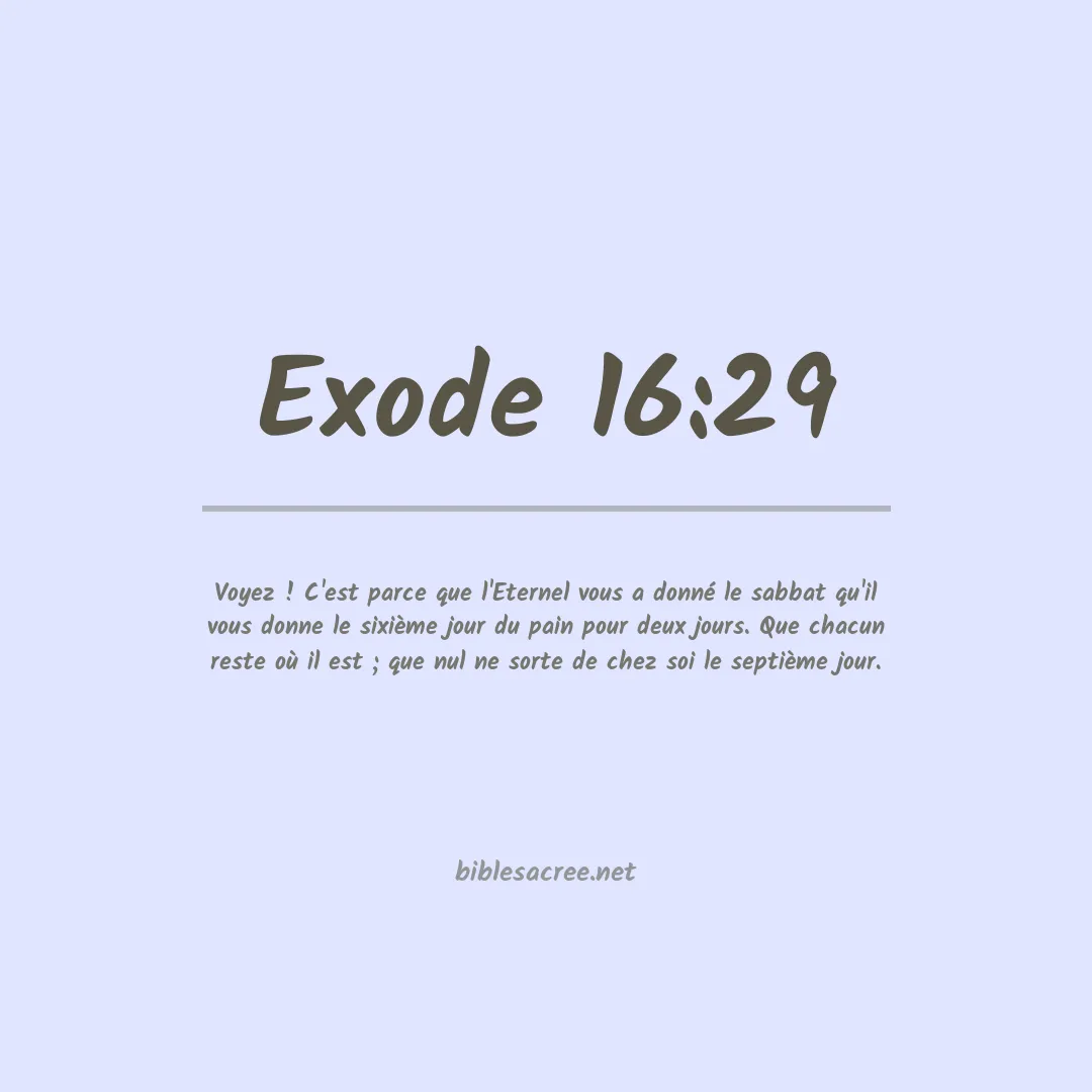 Exode - 16:29