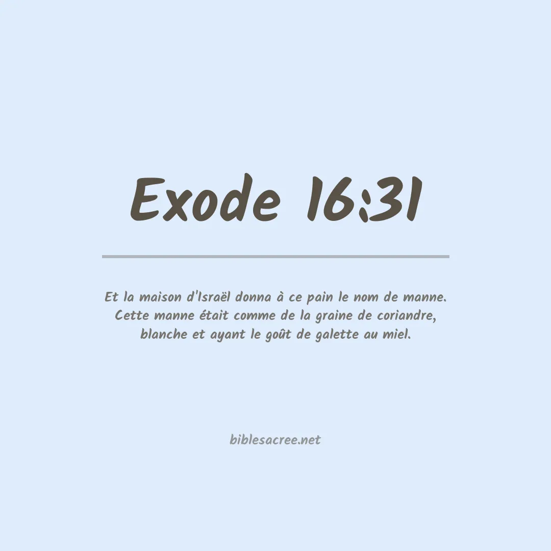 Exode - 16:31
