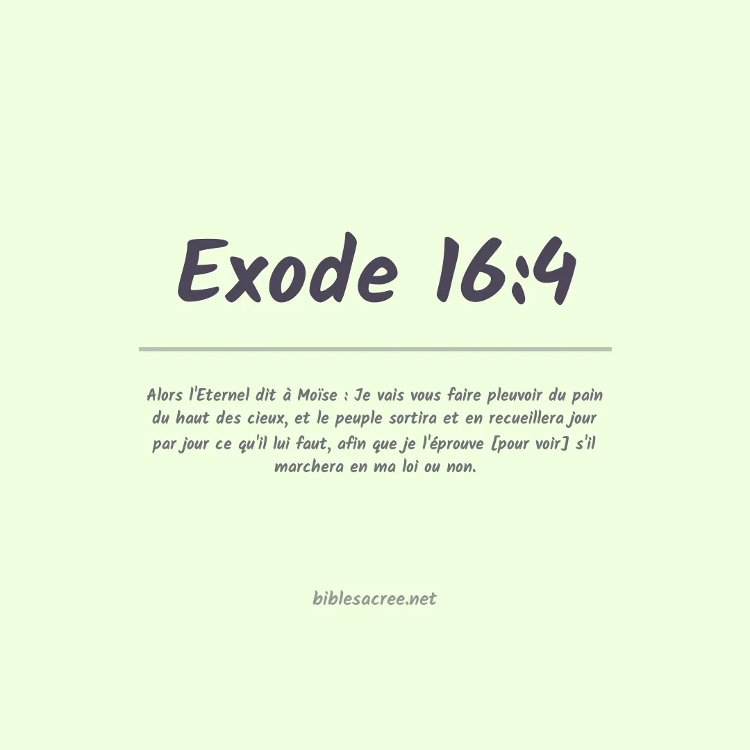 Exode - 16:4