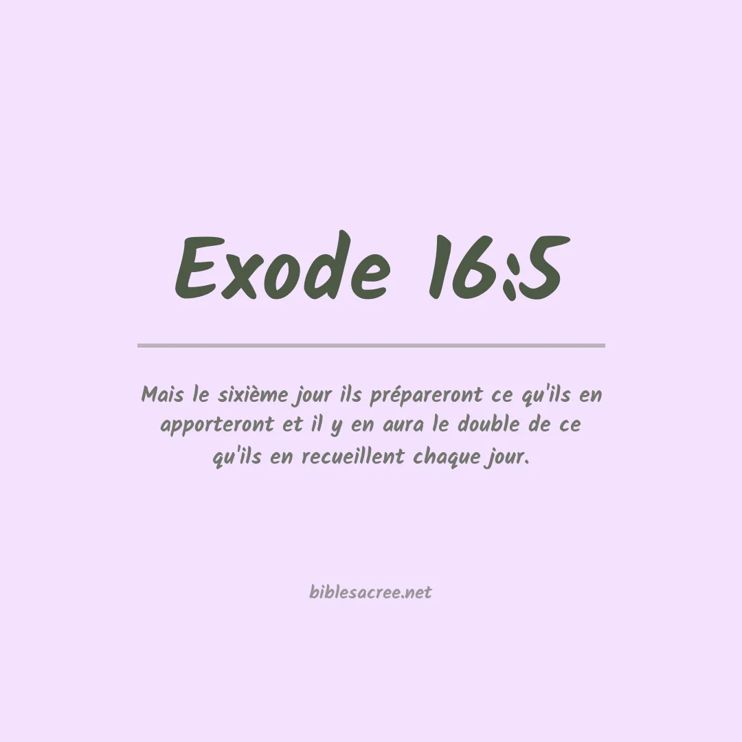 Exode - 16:5