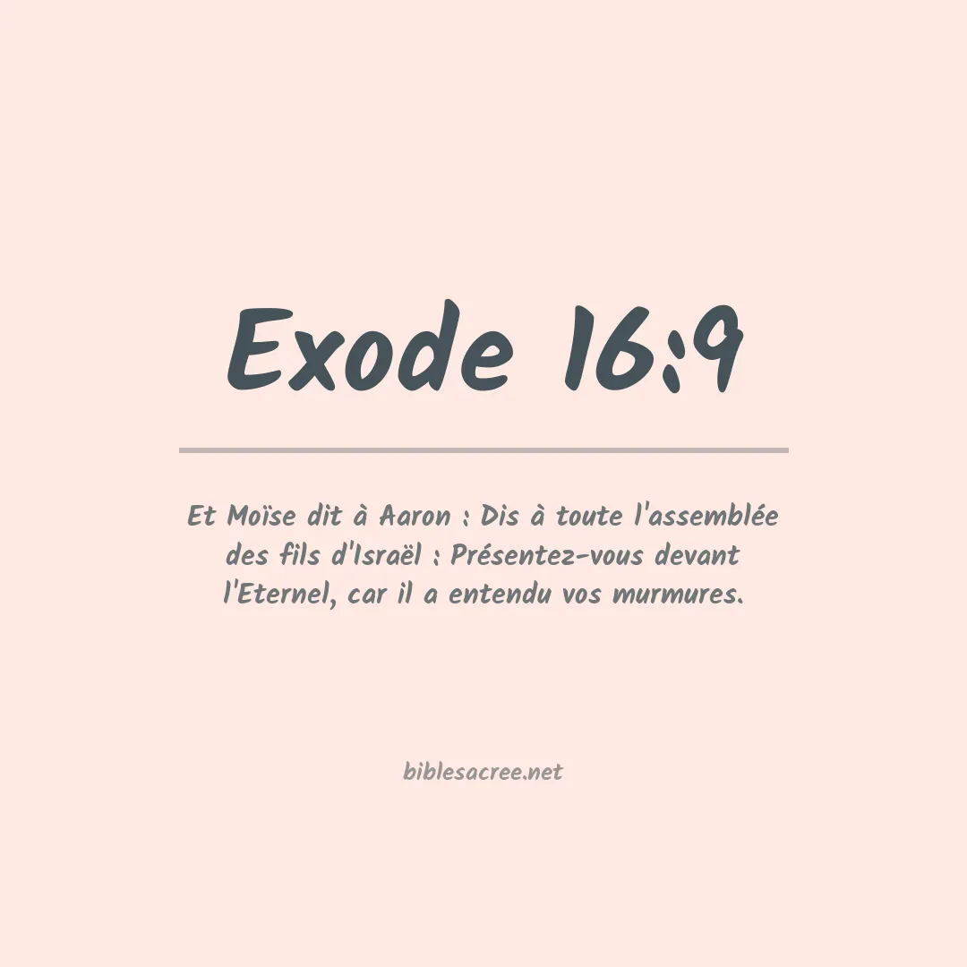 Exode - 16:9