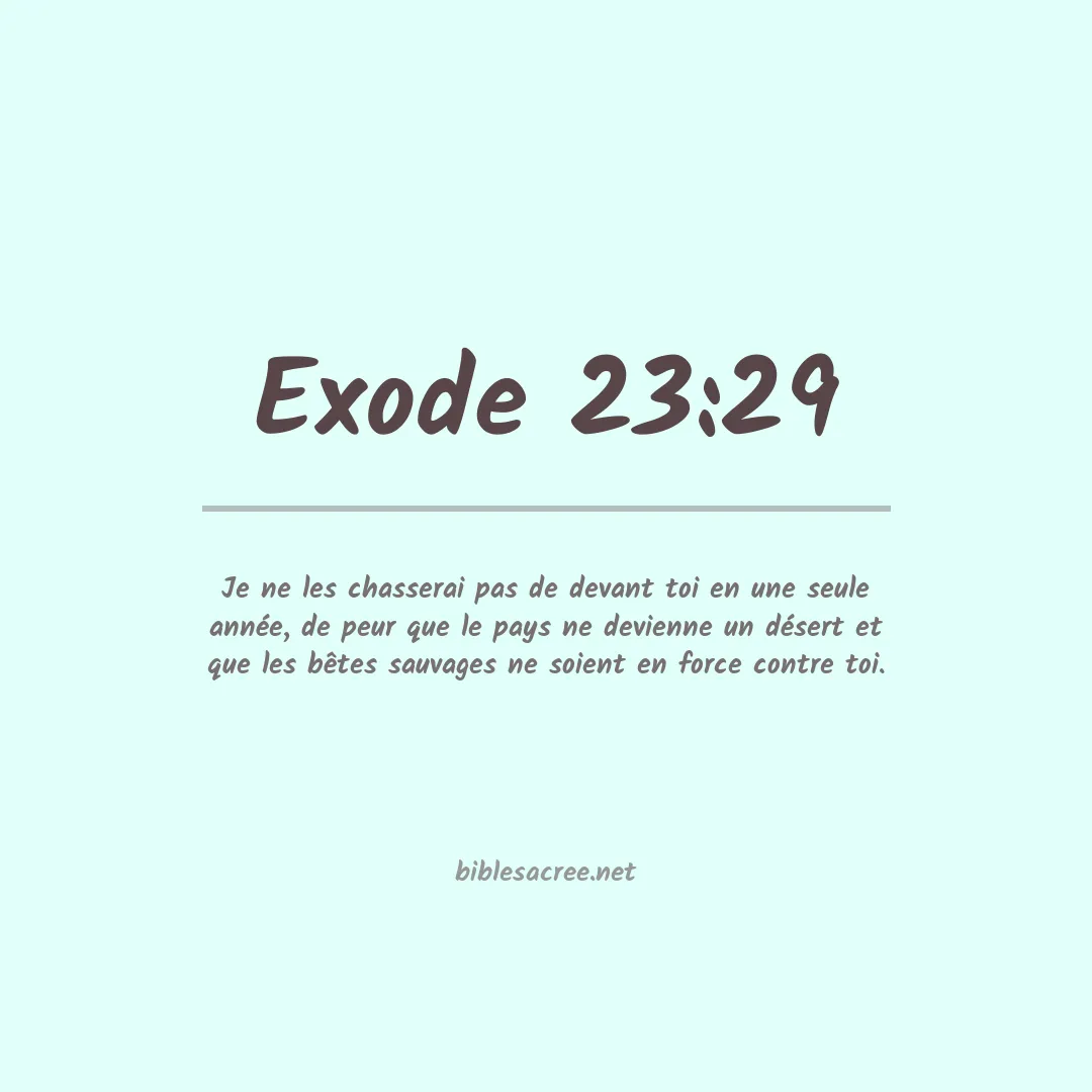 Exode - 23:29