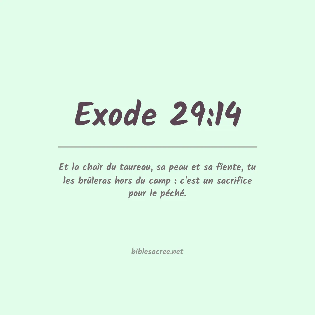 Exode - 29:14