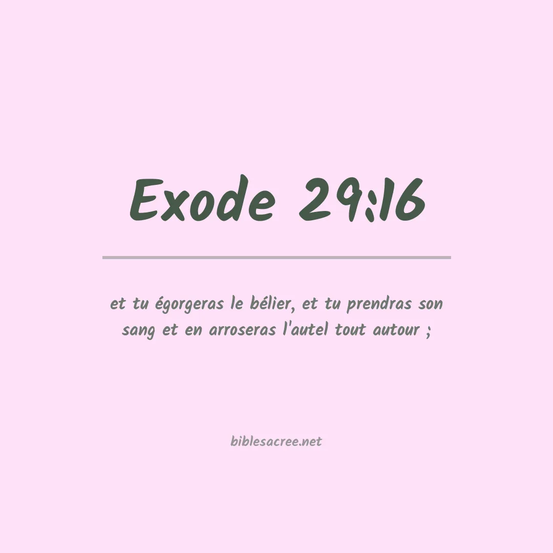 Exode - 29:16