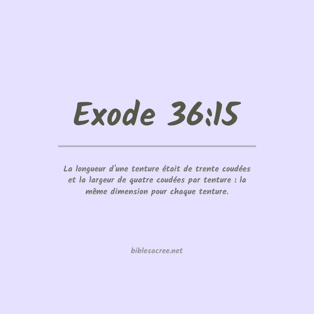 Exode - 36:15