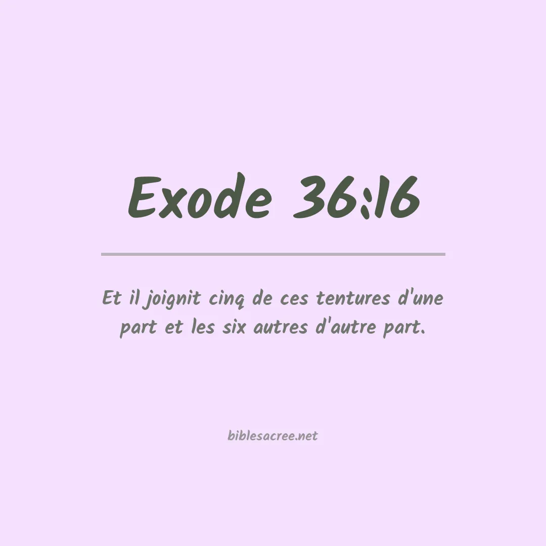 Exode - 36:16