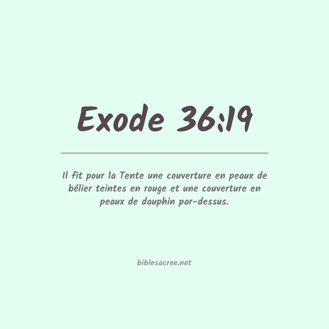 Exode - 36:19