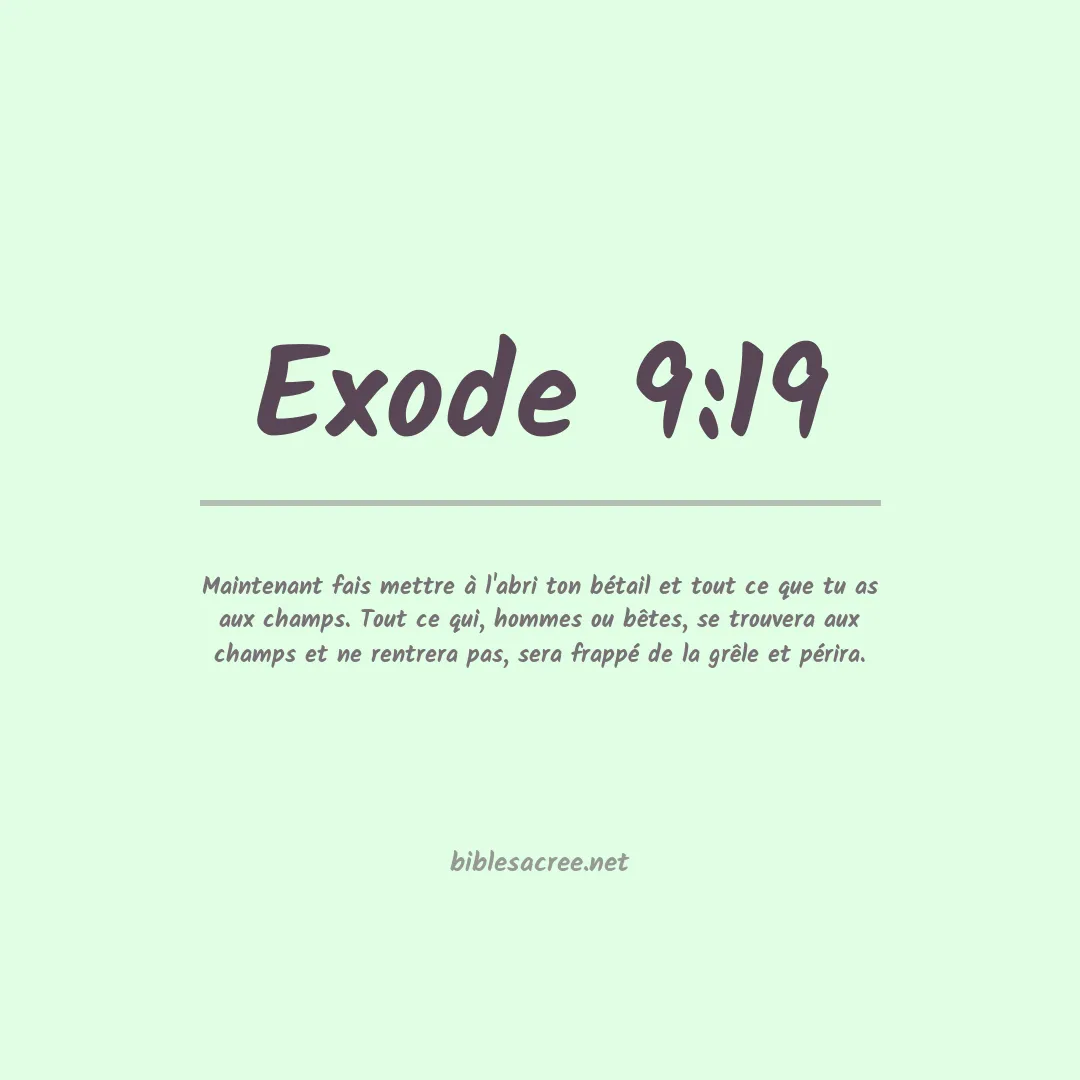 Exode - 9:19