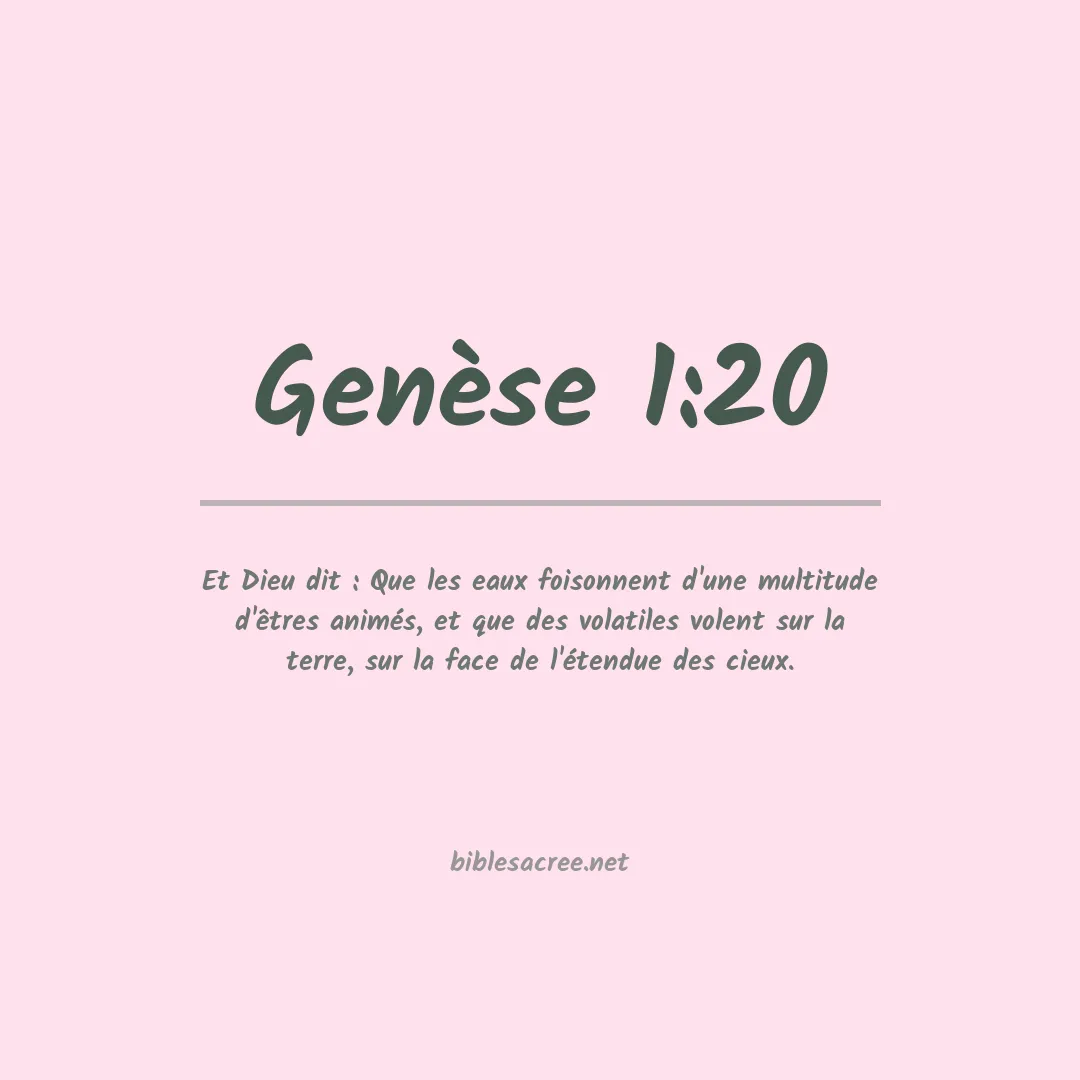 Genèse - 1:20