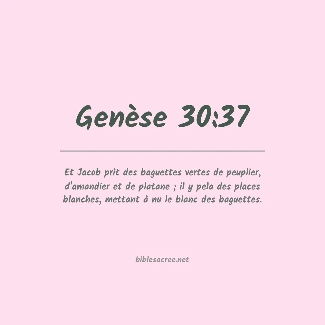 Genèse - 30:37