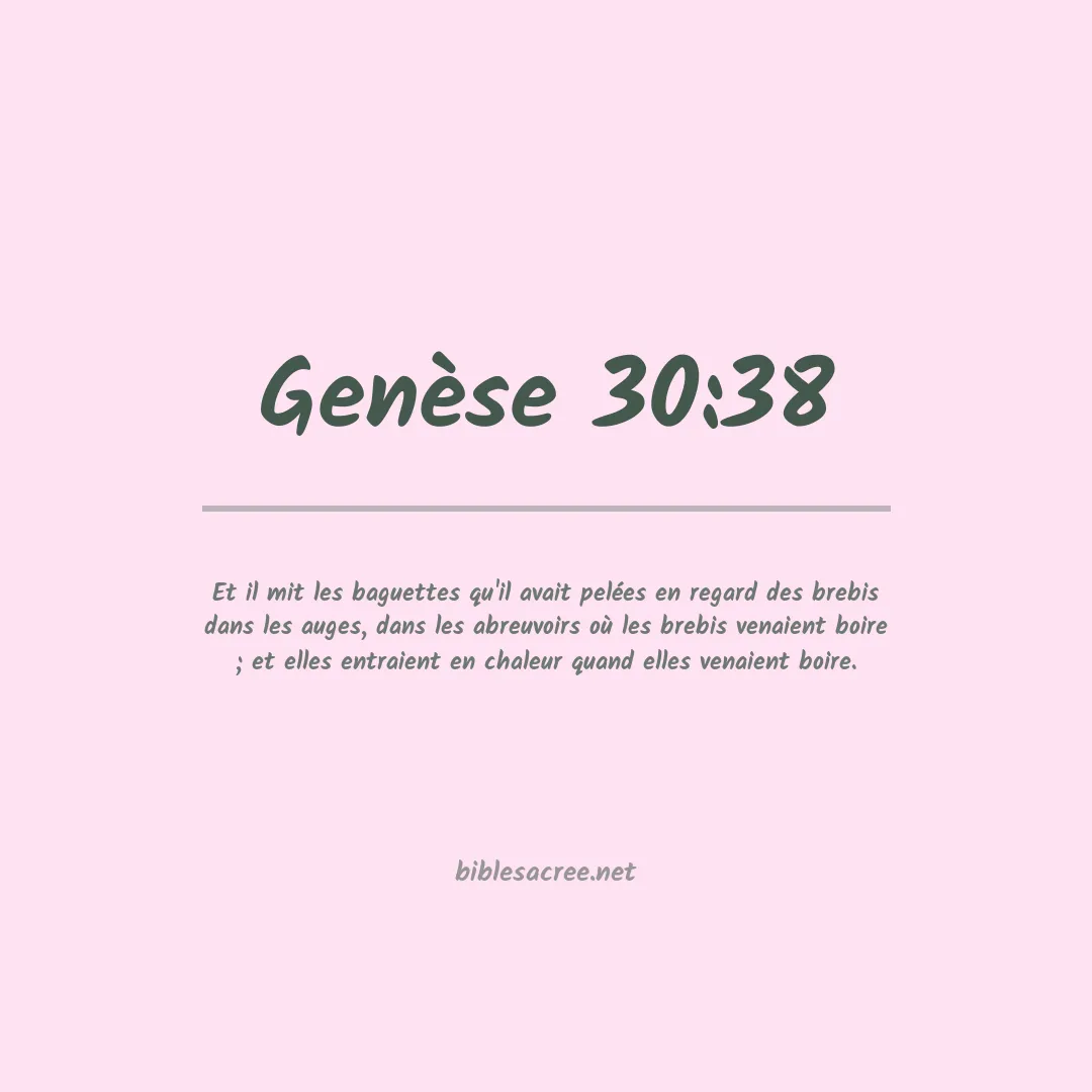 Genèse - 30:38