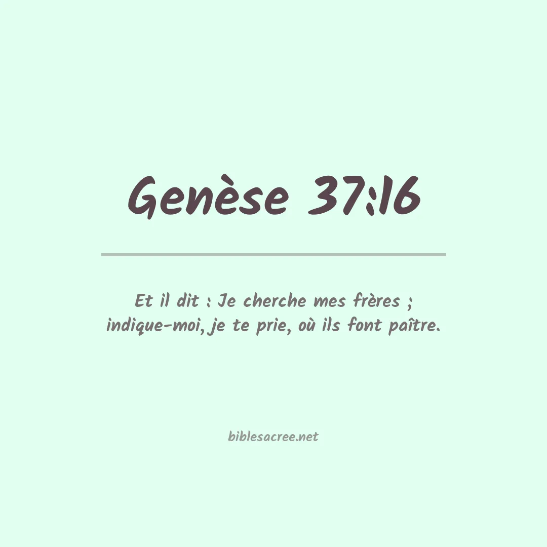 Genèse - 37:16