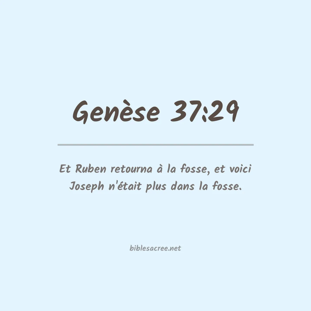 Genèse - 37:29