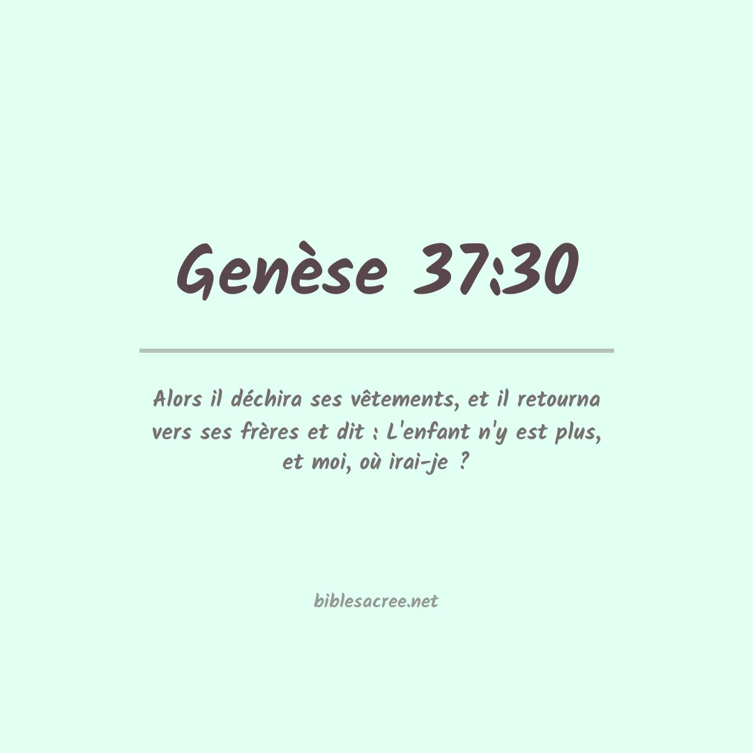 Genèse - 37:30