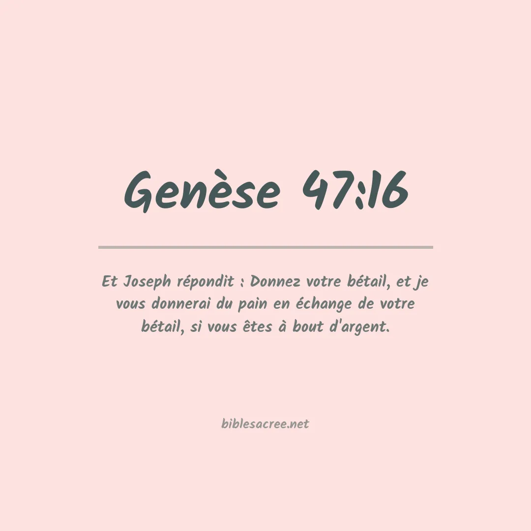 Genèse - 47:16